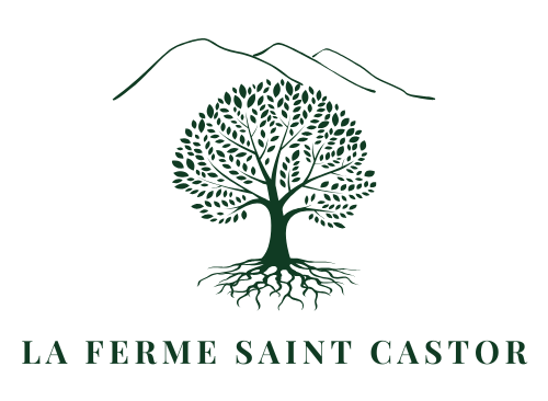 cropped le grand hermas 7.png