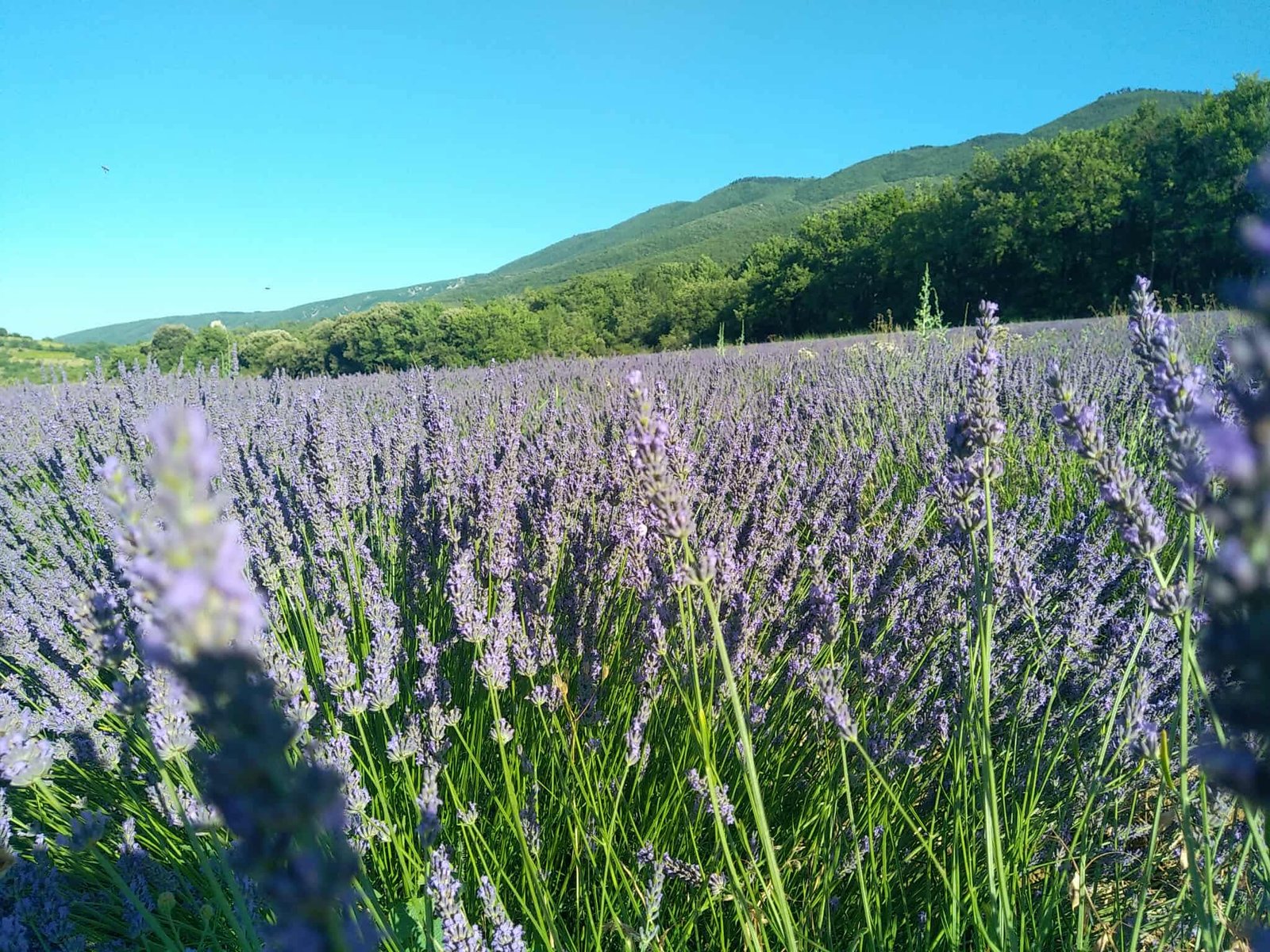 0737ec7456fb2193f1fdd08c97854aac