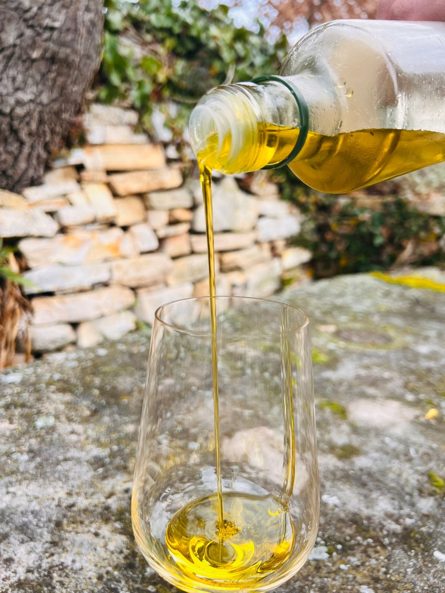 whatsapp image 2026 02 07 at 14.29.57 (1)