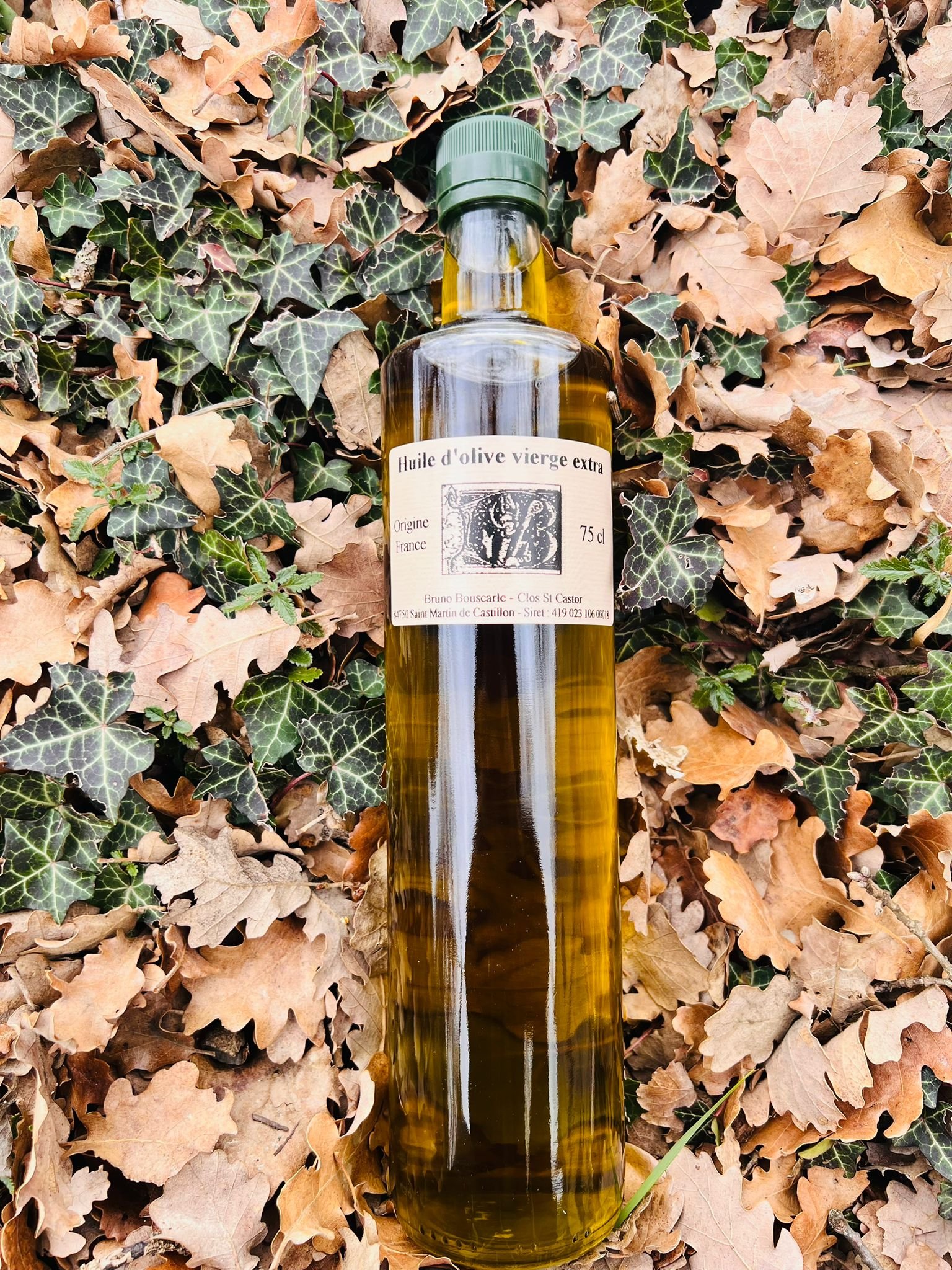 whatsapp image 2026 02 07 at 14.31.53 (1)