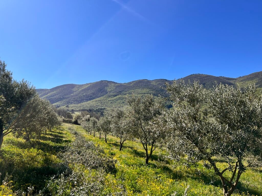 img 0493